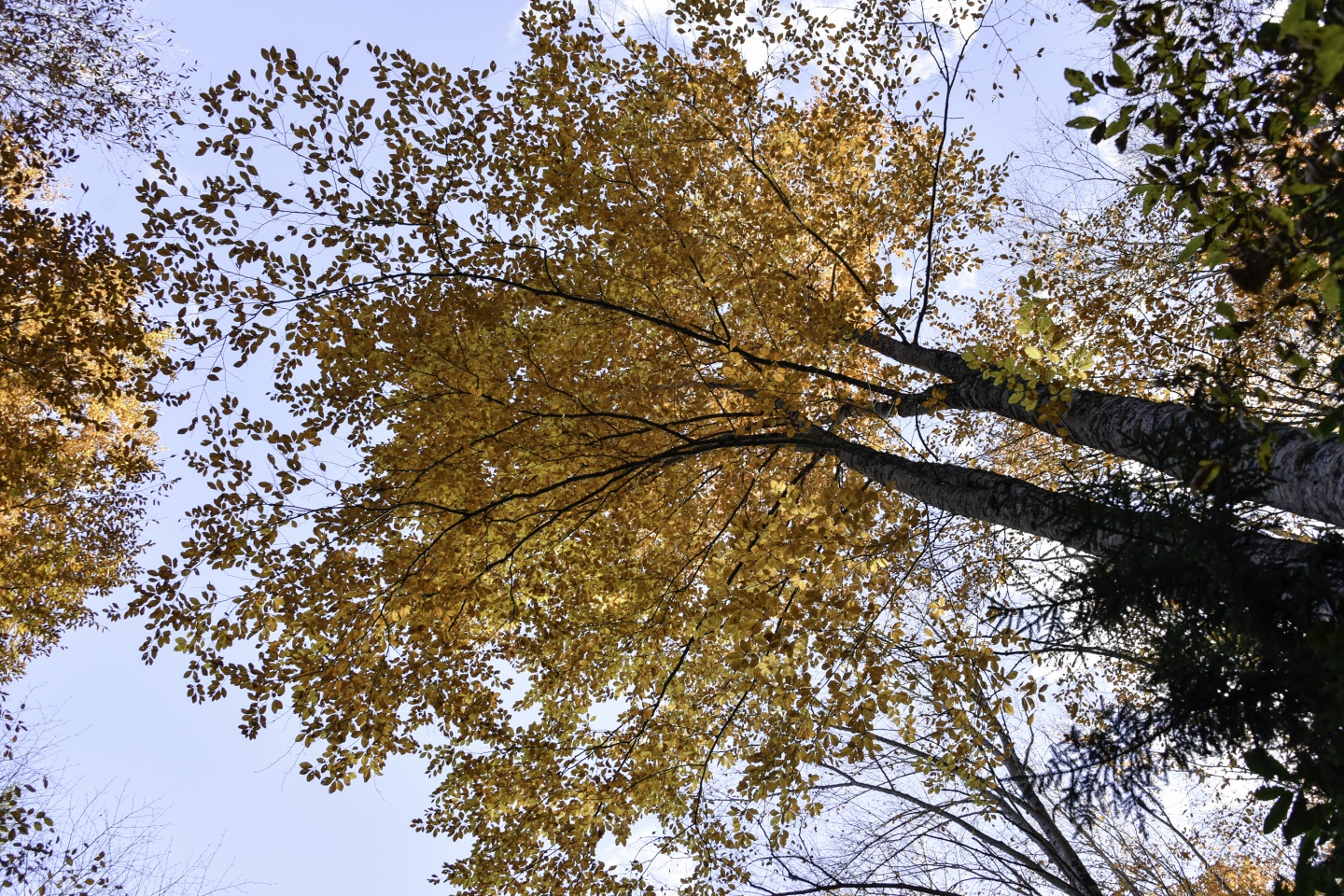 Gümüşhaneli dağcılardan en güzel sonbahar yürüyüşü 47