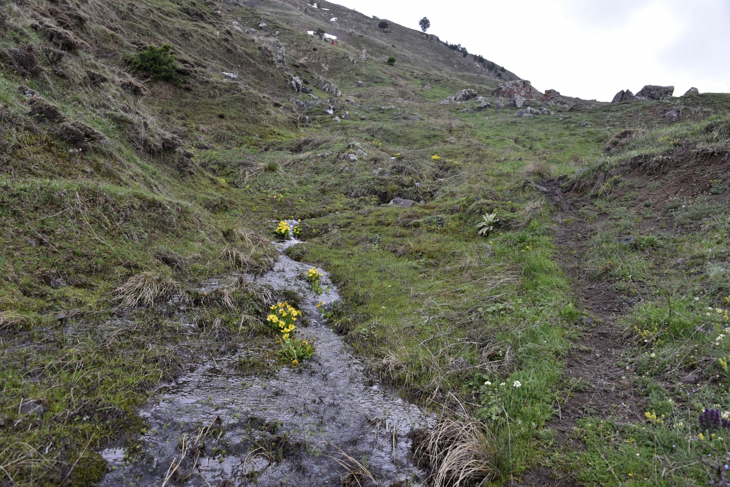 Gümüşhaneli dağcılardan tarih ve doğa içerikli yürüyüş 15