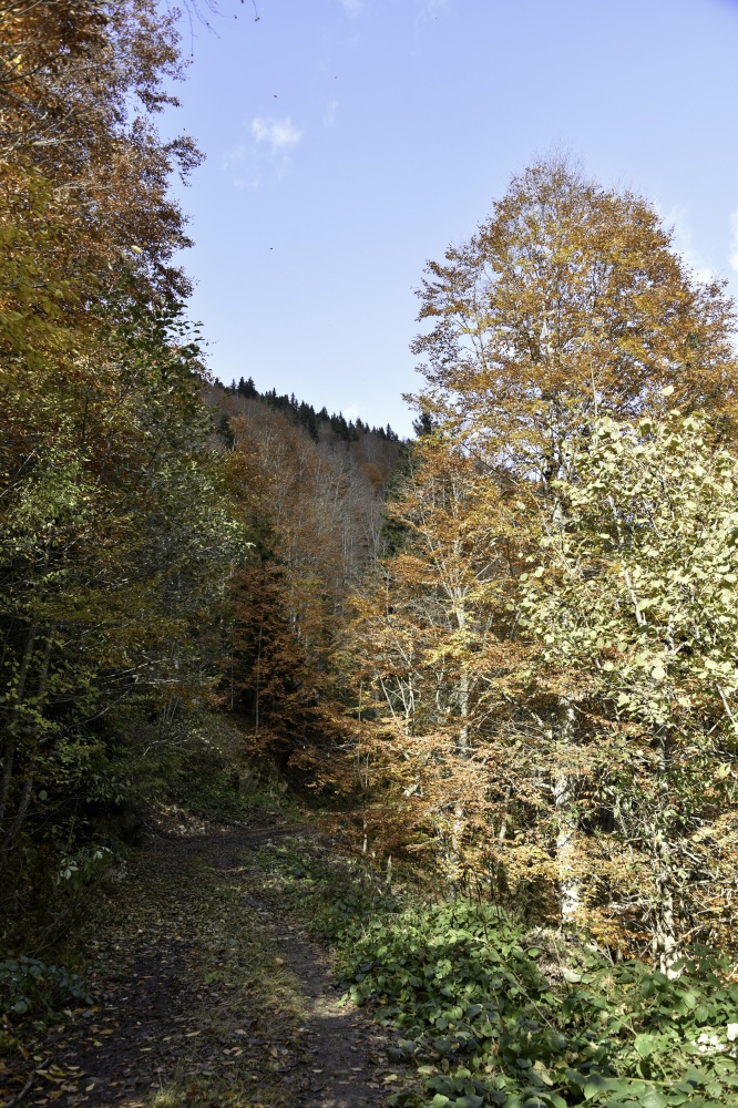 Gümüşhaneli dağcılardan en güzel sonbahar yürüyüşü 27