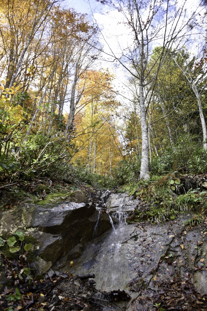 Gümüşhaneli dağcılardan en güzel sonbahar yürüyüşü 94