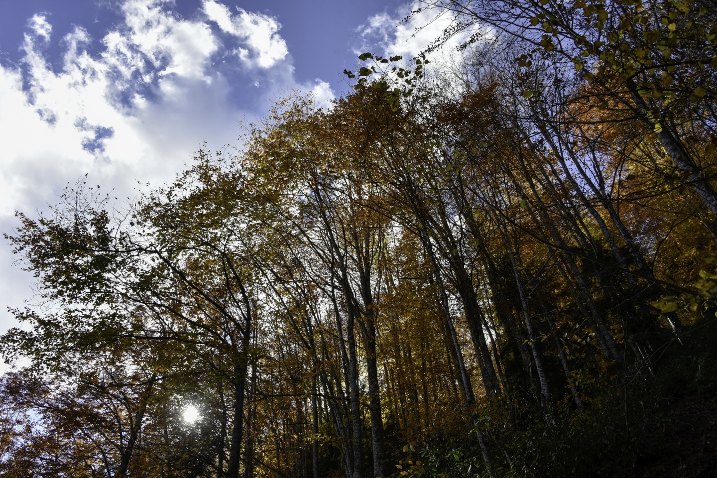 Gümüşhaneli dağcılardan en güzel sonbahar yürüyüşü 7