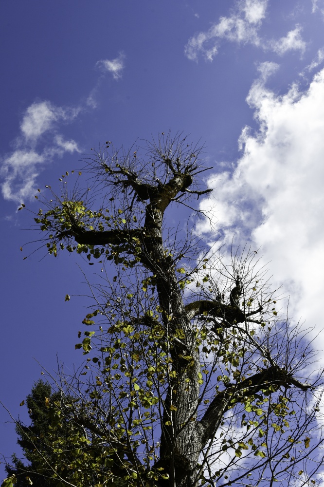 Gümüşhaneli dağcılardan en güzel sonbahar yürüyüşü 86