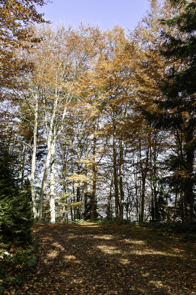 Gümüşhaneli dağcılardan en güzel sonbahar yürüyüşü 76