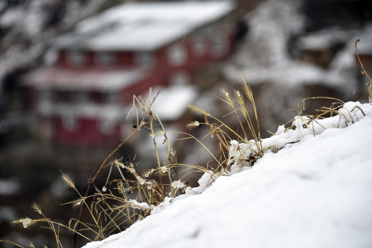 Gümüşhane'de kar yağışı 1