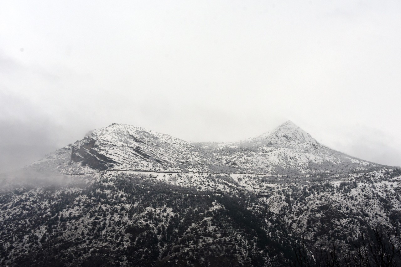 Gümüşhane'de kar yağışı 3