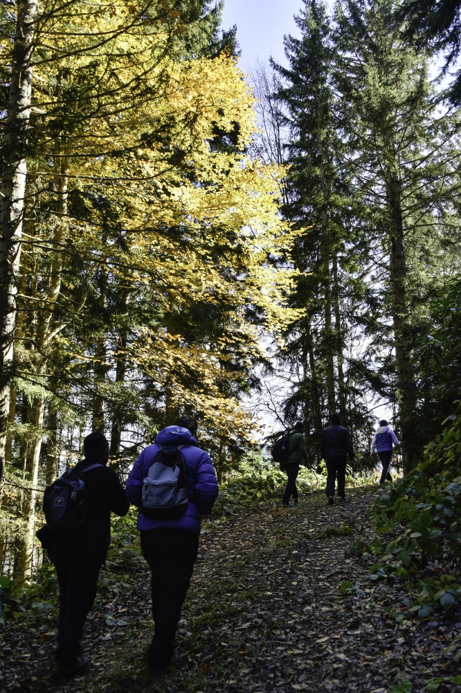 Gümüşhaneli dağcılardan en güzel sonbahar yürüyüşü 34