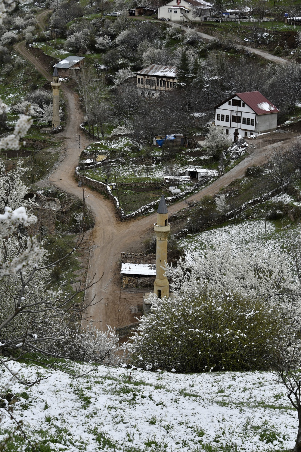 Gümüşhane’de kar yağışı zirai don tehlikesini de beraberinde getirdi 25