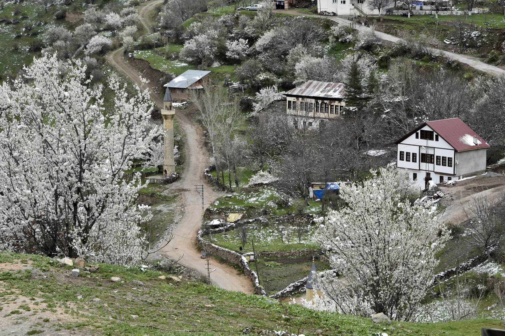Gümüşhane’de kar yağışı zirai don tehlikesini de beraberinde getirdi 20