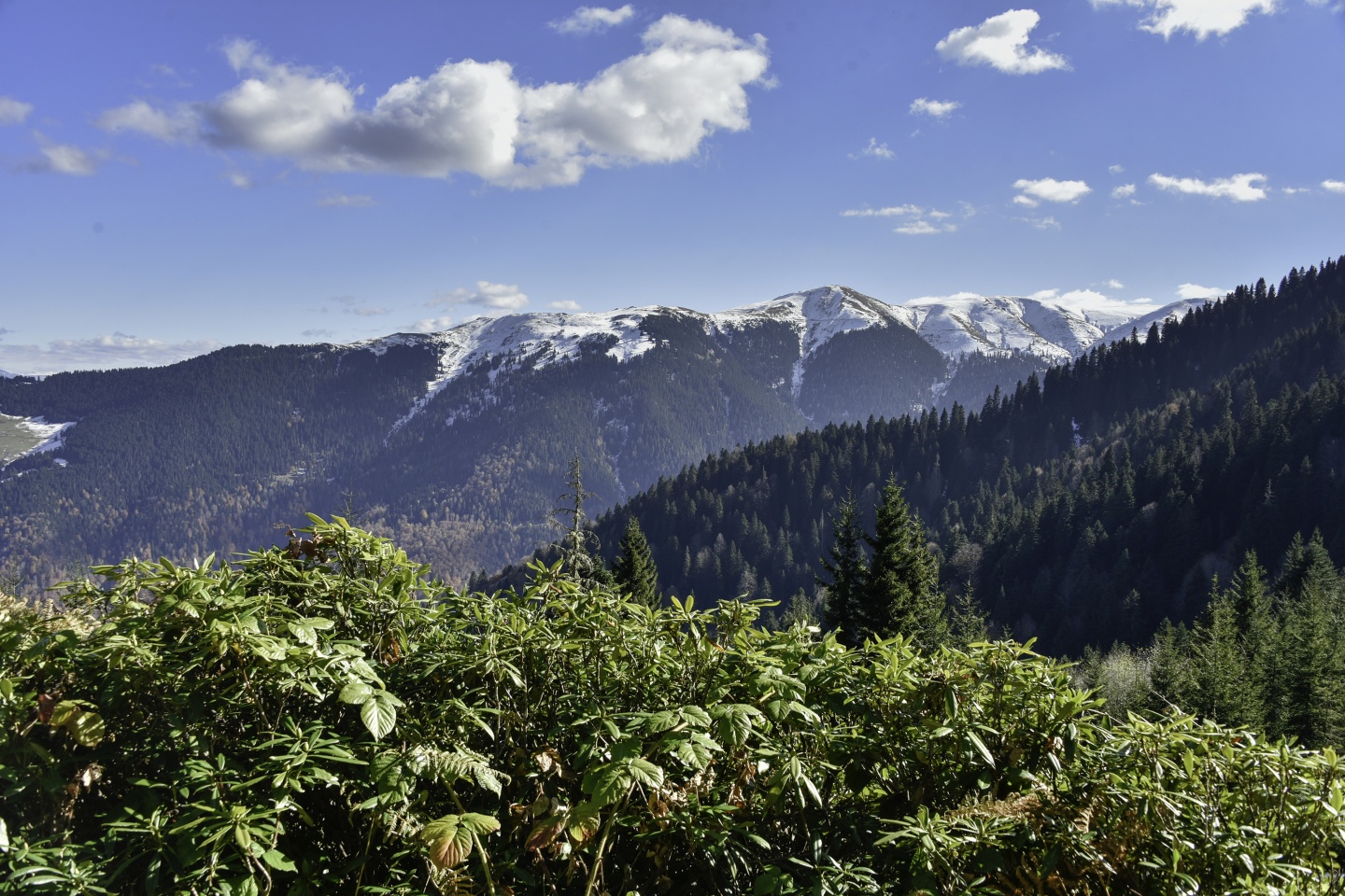 Gümüşhaneli dağcılardan en güzel sonbahar yürüyüşü 72