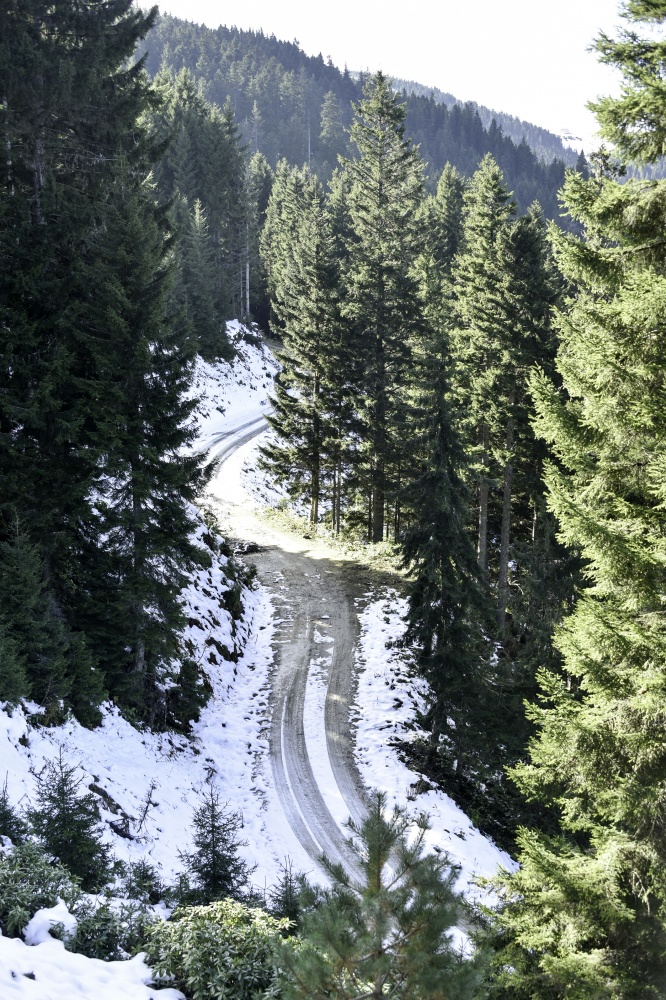 Gümüşhaneli dağcılardan en güzel sonbahar yürüyüşü 91