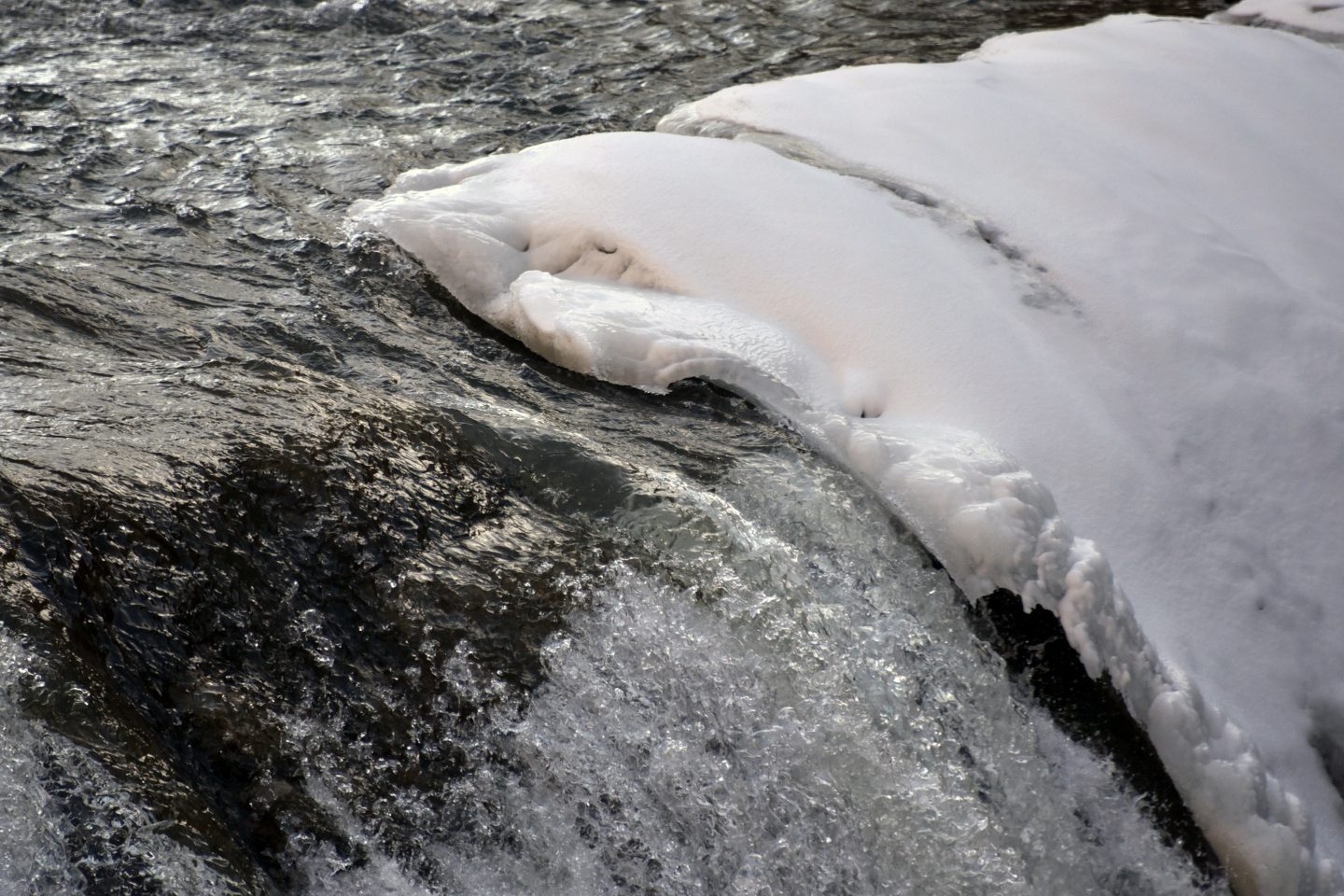 Türkiye’nin en hızlı akan çaylarından Harşit Çayı dondu 26
