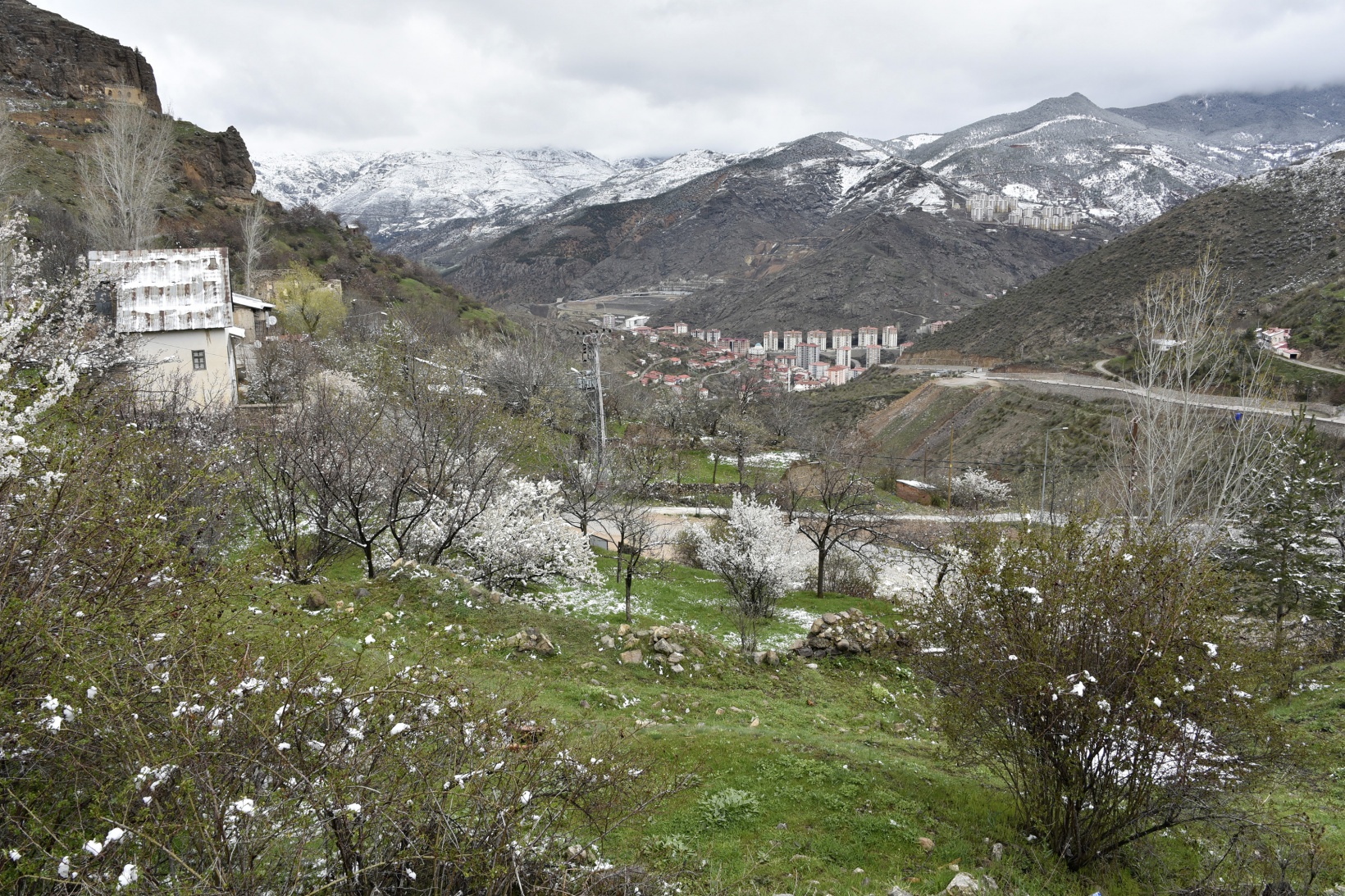 Gümüşhane’de kar yağışı zirai don tehlikesini de beraberinde getirdi 26