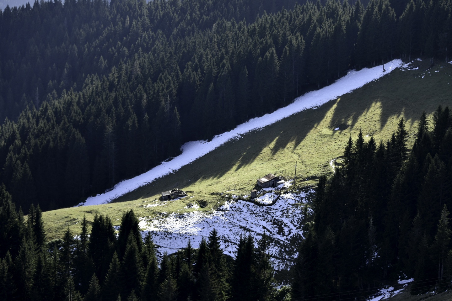 Gümüşhaneli dağcılardan en güzel sonbahar yürüyüşü 95