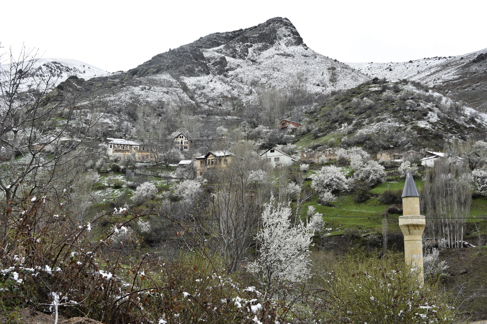 Gümüşhane’de kar yağışı zirai don tehlikesini de beraberinde getirdi 30