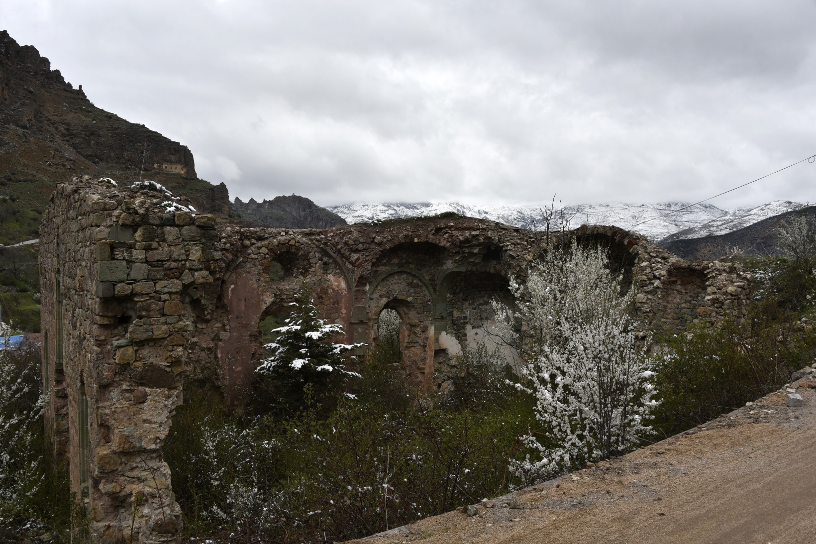 Gümüşhane’de kar yağışı zirai don tehlikesini de beraberinde getirdi 9