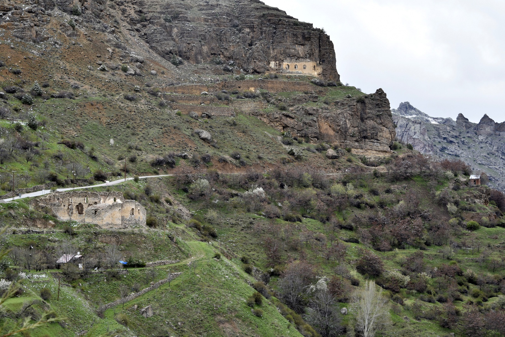 Gümüşhane’de kar yağışı zirai don tehlikesini de beraberinde getirdi 19