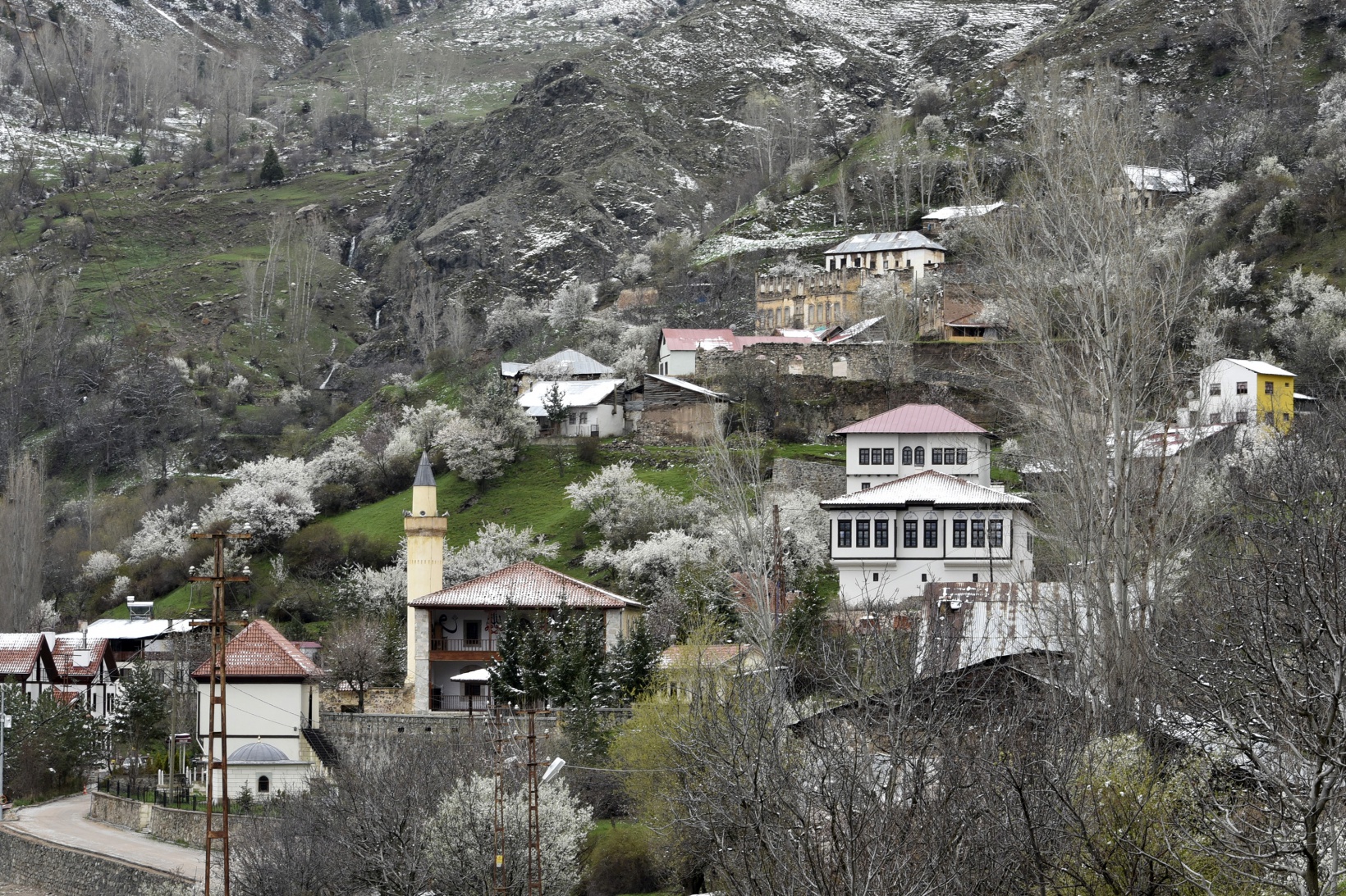 Gümüşhane’de kar yağışı zirai don tehlikesini de beraberinde getirdi 21