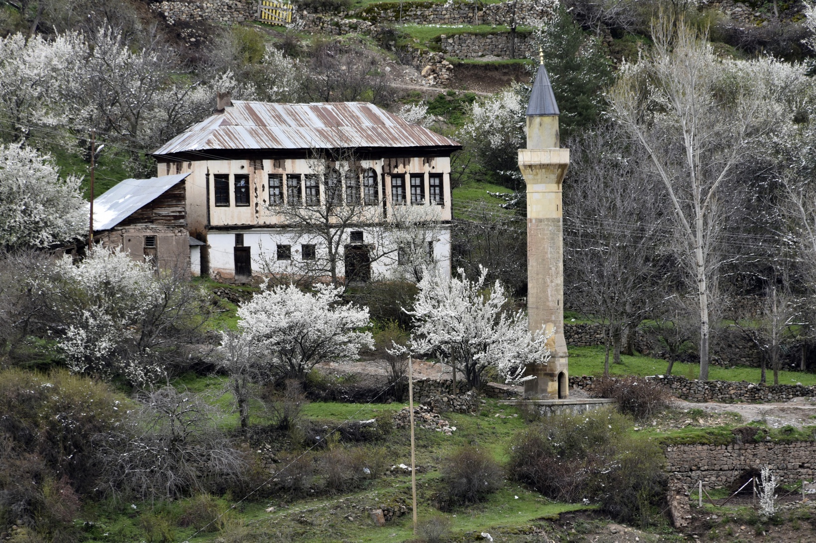 Gümüşhane’de kar yağışı zirai don tehlikesini de beraberinde getirdi 18