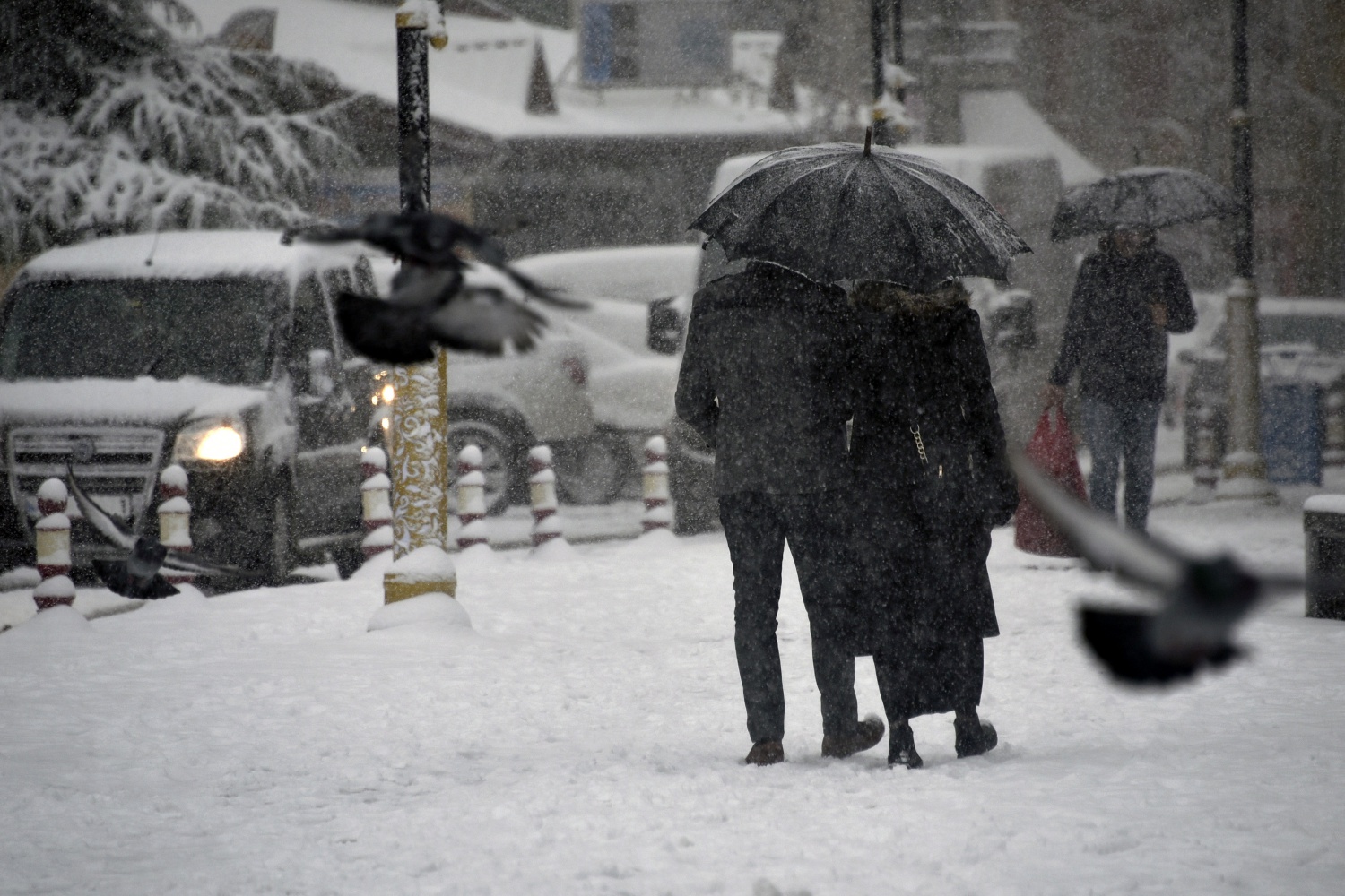 Gümüşhane’deki kar yağışı 8