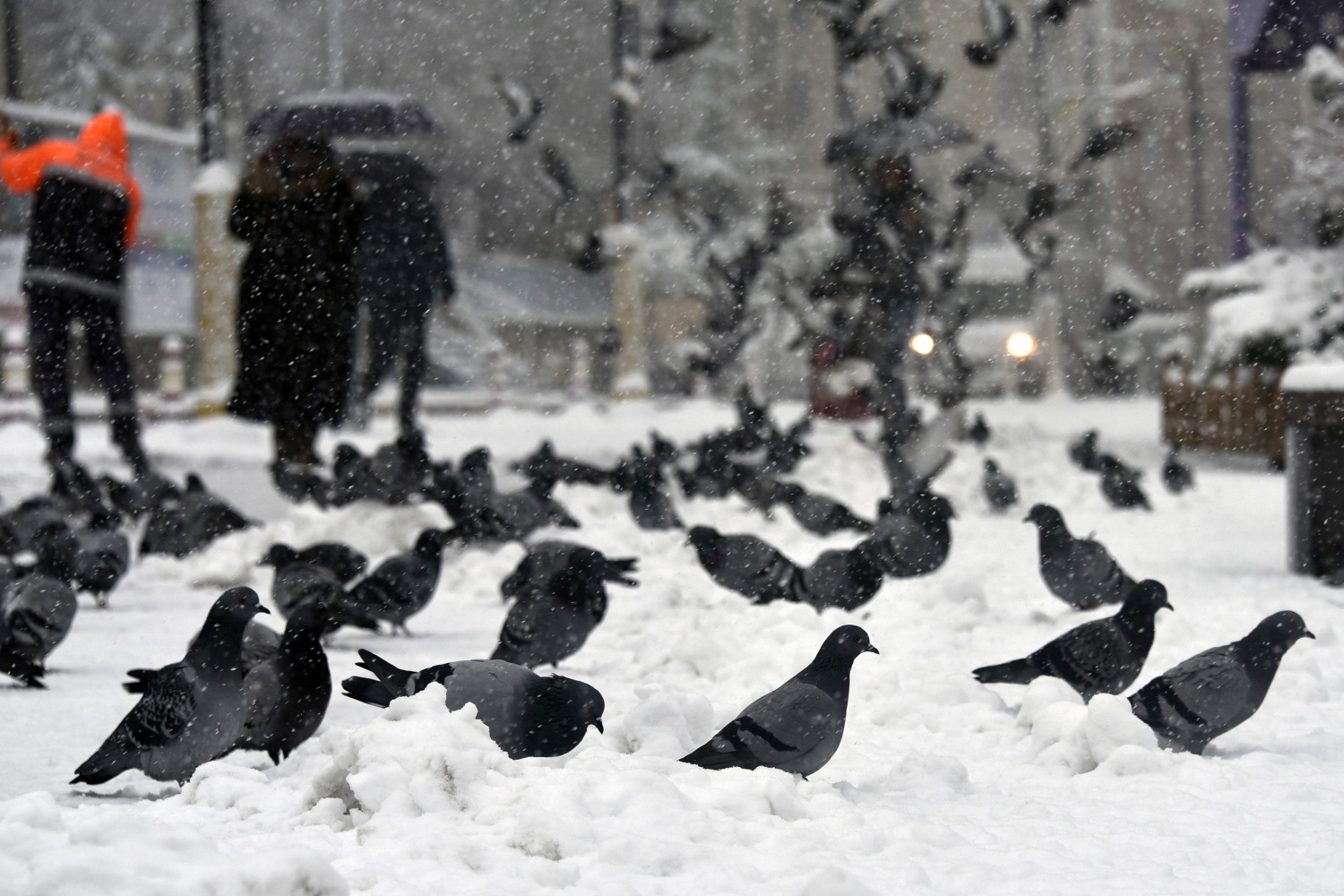 Gümüşhane’deki kar yağışı 7