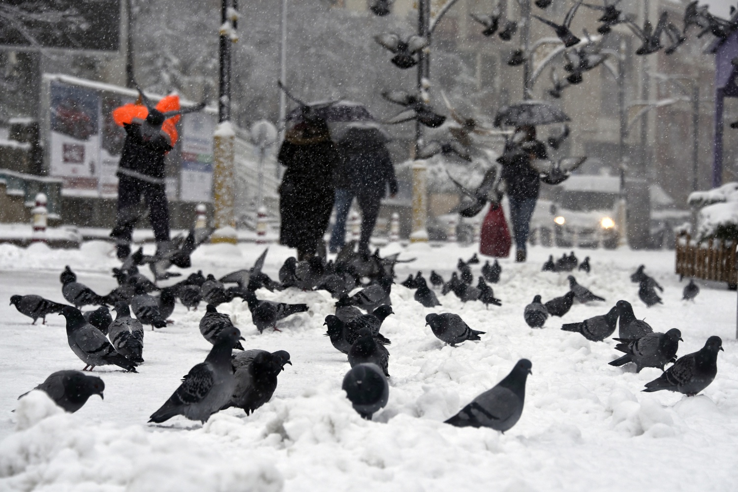 Gümüşhane’deki kar yağışı 11