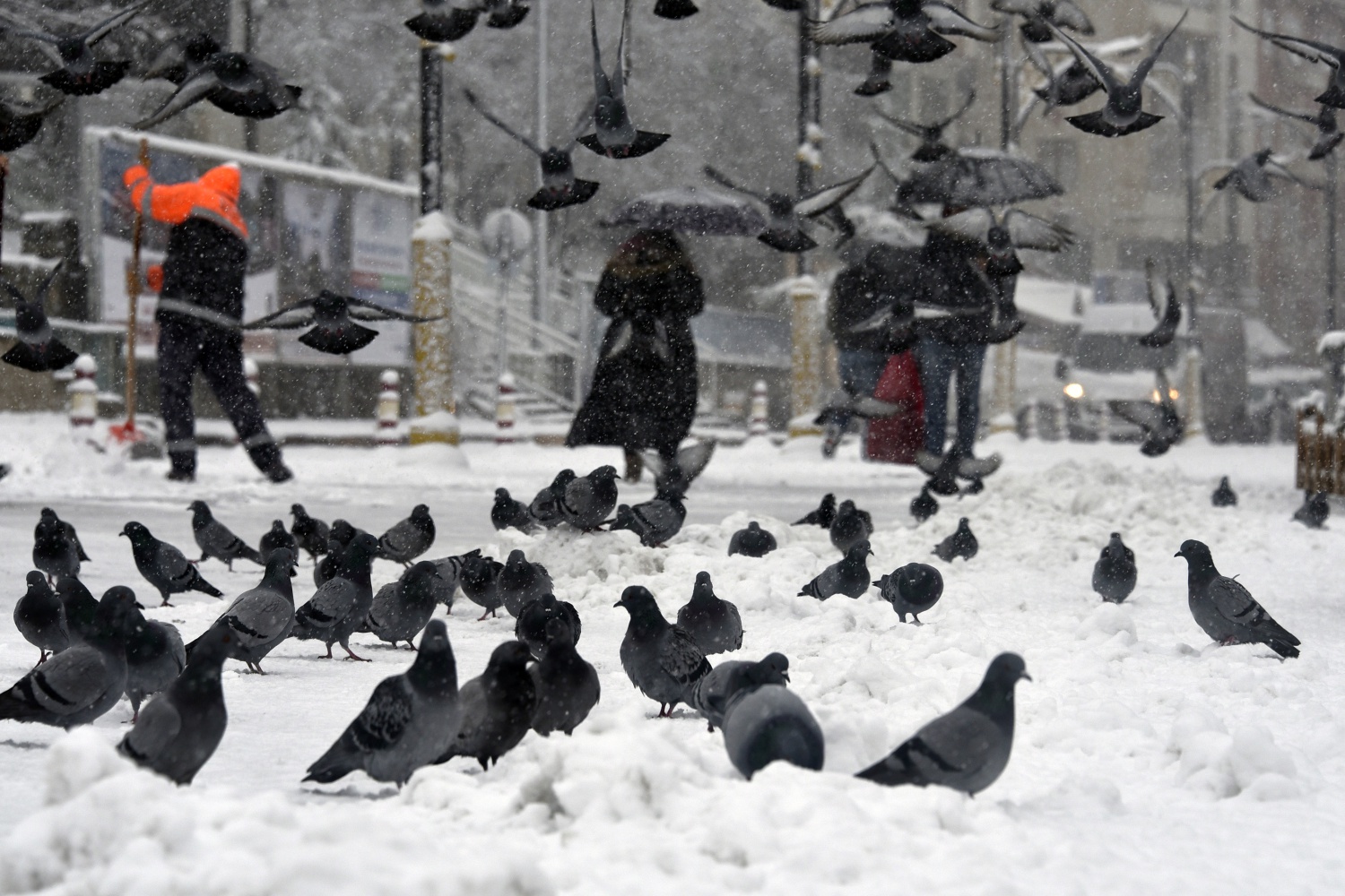 Gümüşhane’deki kar yağışı 10