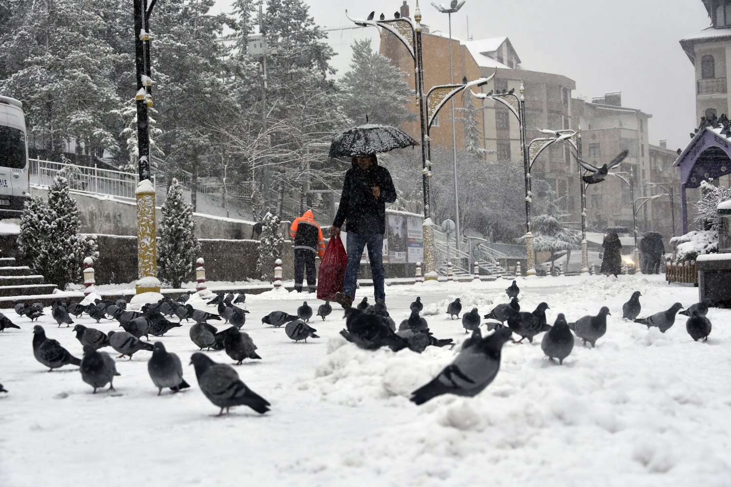 Gümüşhane’deki kar yağışı 18