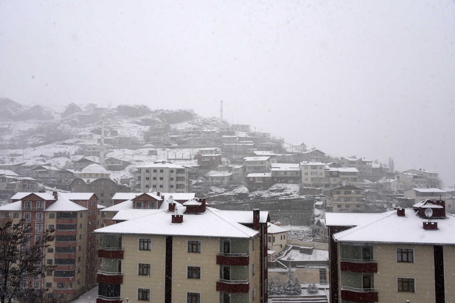 Gümüşhane’deki kar yağışı 22