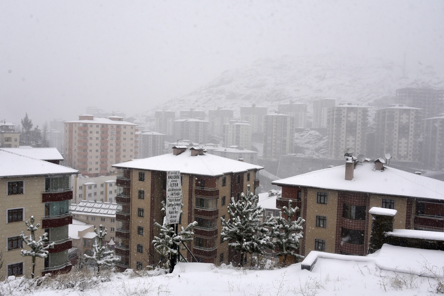 Gümüşhane’deki kar yağışı 25