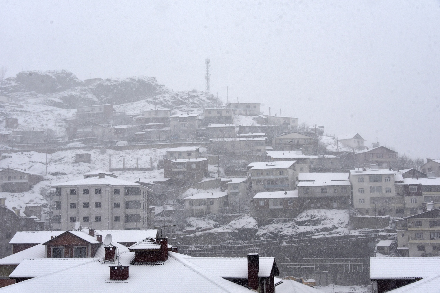 Gümüşhane’deki kar yağışı 29