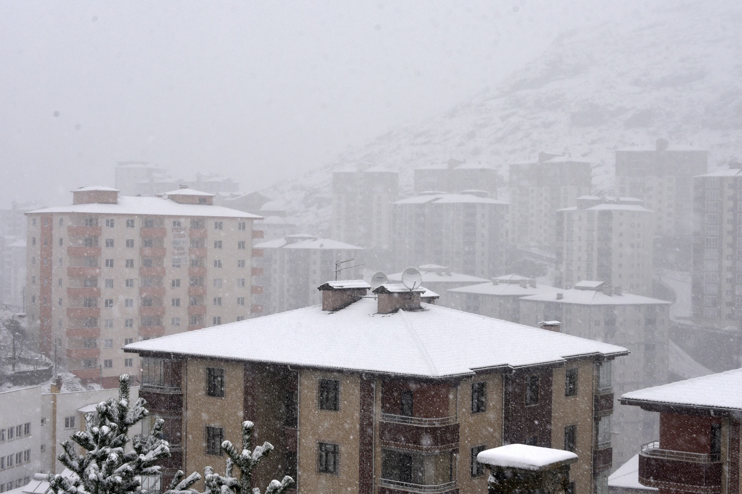 Gümüşhane’deki kar yağışı 27