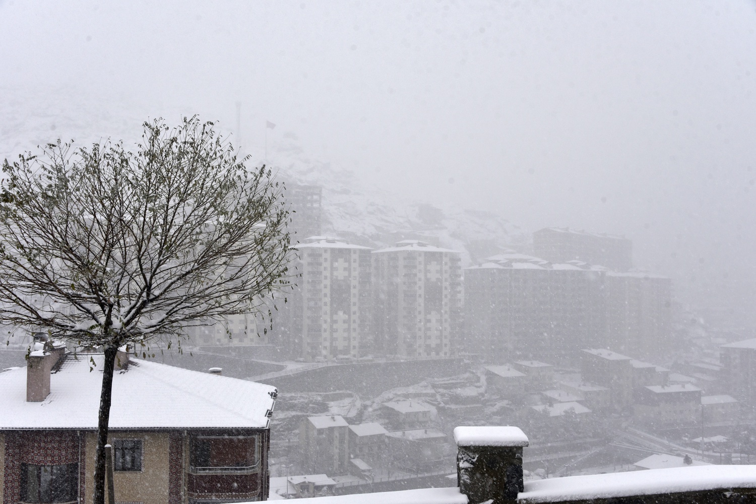 Gümüşhane’deki kar yağışı 31