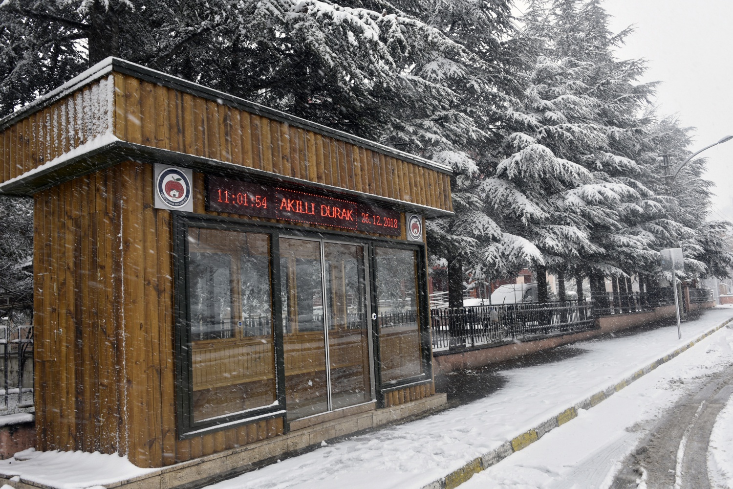 Gümüşhane’deki kar yağışı 28