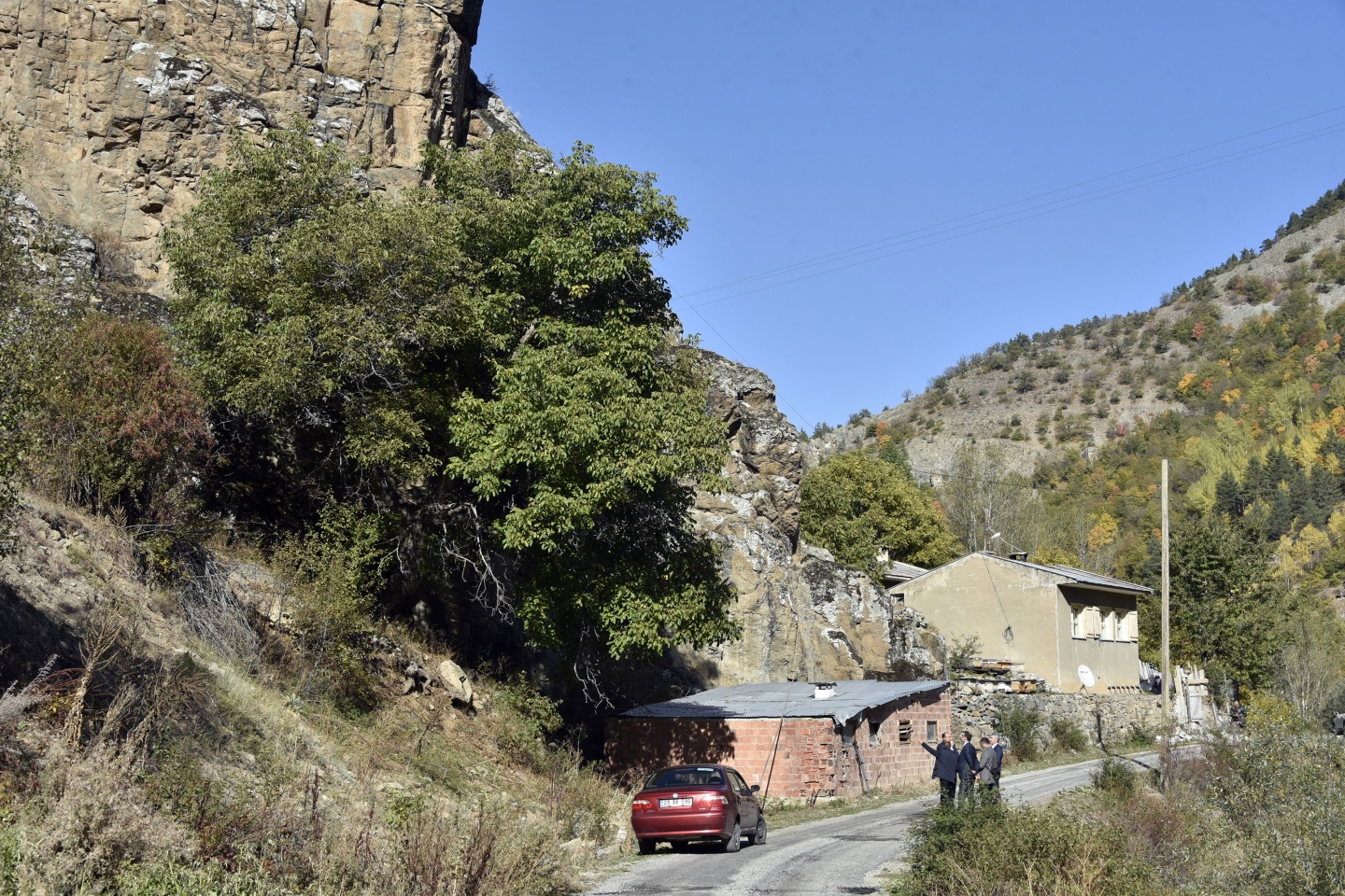 Gümüşhane’de ceviz hasadı tamamlanmak üzere 7