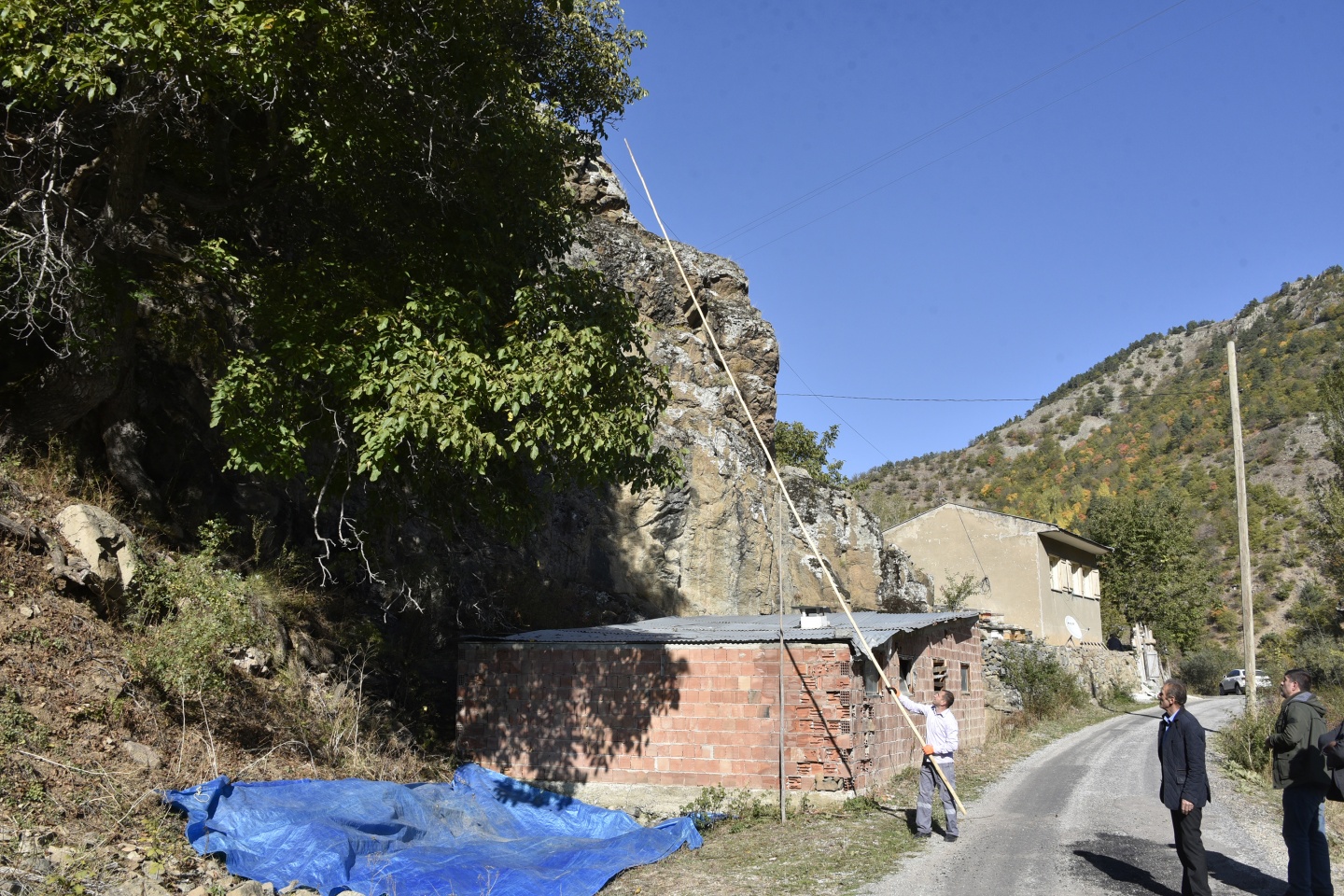 Gümüşhane’de ceviz hasadı tamamlanmak üzere 4
