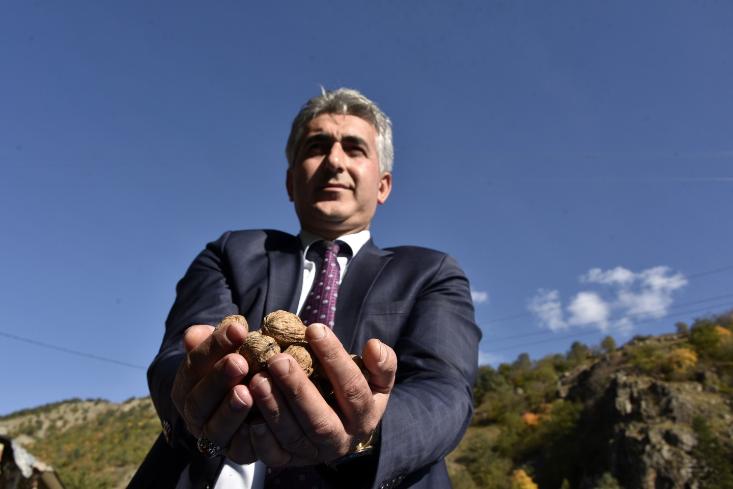 Gümüşhane’de ceviz hasadı tamamlanmak üzere 13