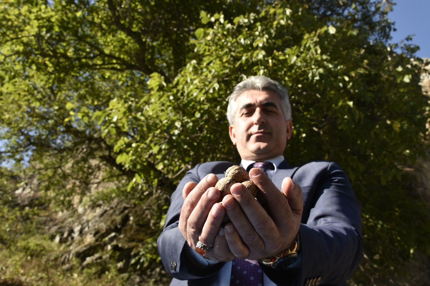 Gümüşhane’de ceviz hasadı tamamlanmak üzere 19