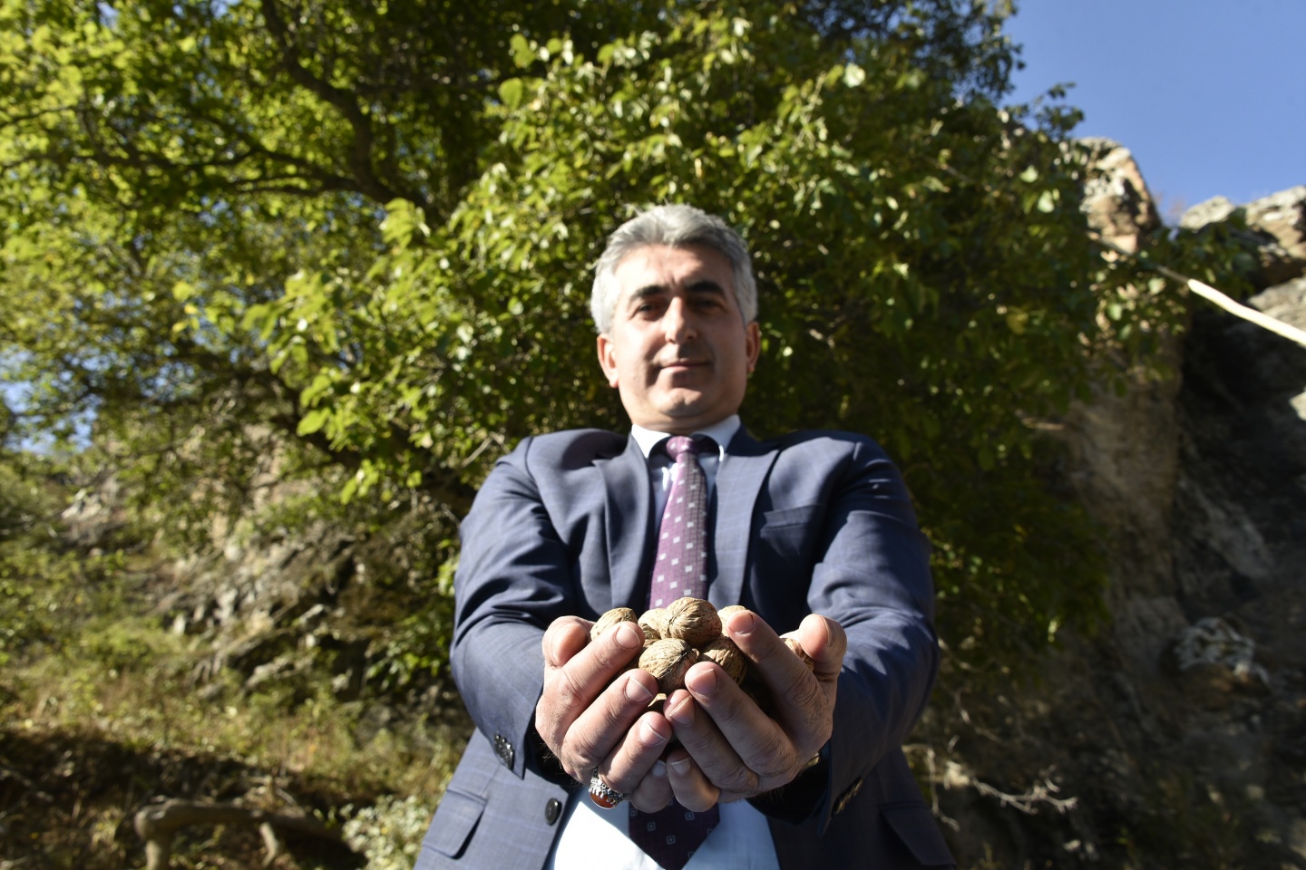 Gümüşhane’de ceviz hasadı tamamlanmak üzere 18