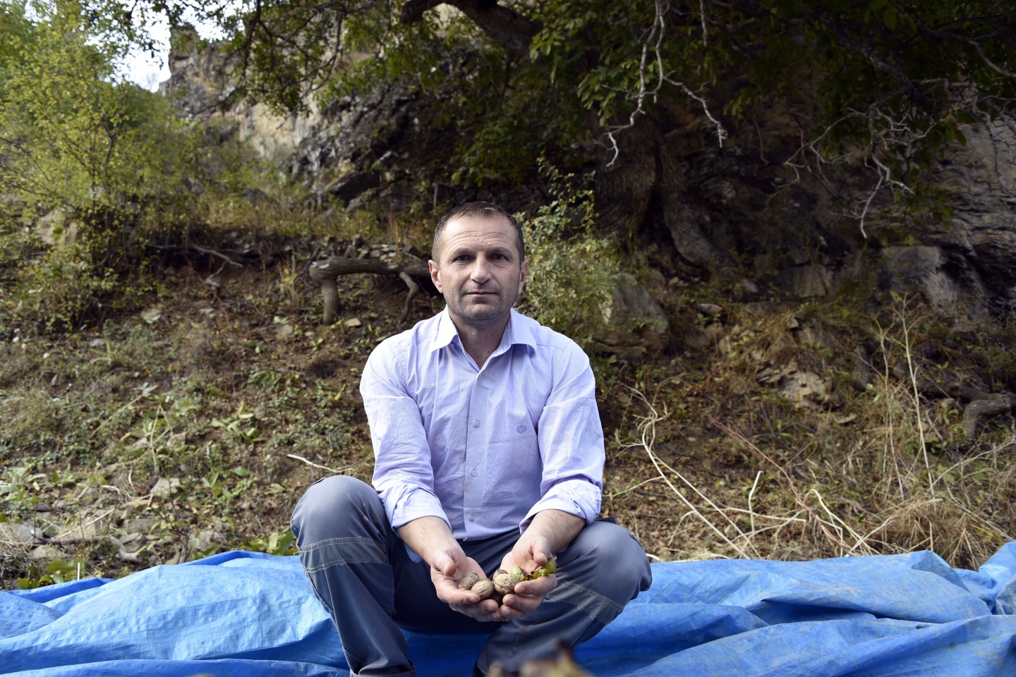 Gümüşhane’de ceviz hasadı tamamlanmak üzere 21