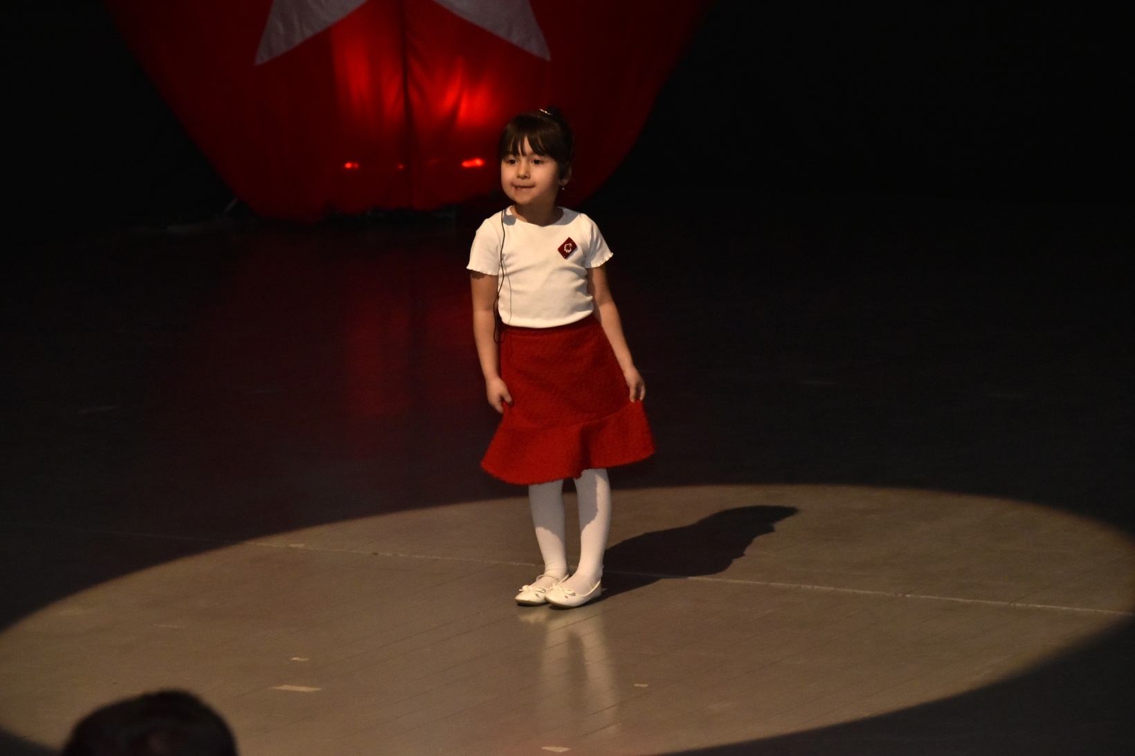 Milli Şair Gümüşhane’de anıldı 19