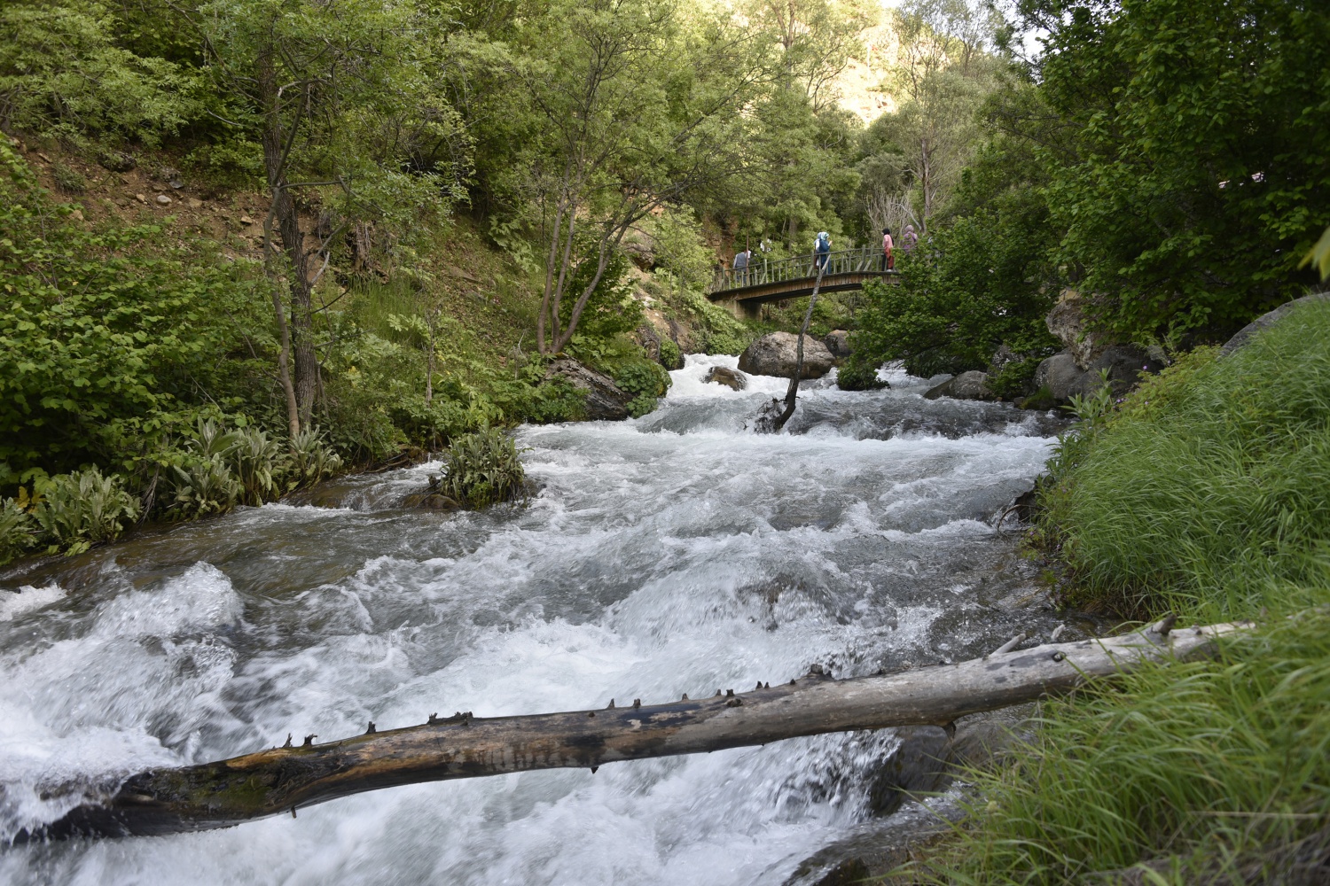 Gümüşhane’de 40 gözeli şelale büyülüyor 35