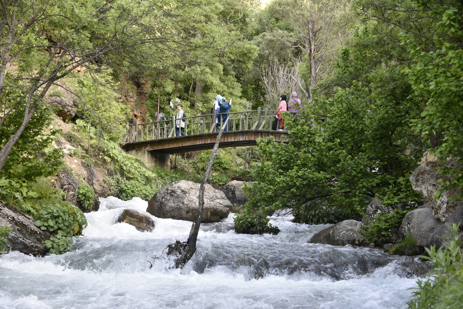 Gümüşhane’de 40 gözeli şelale büyülüyor 37
