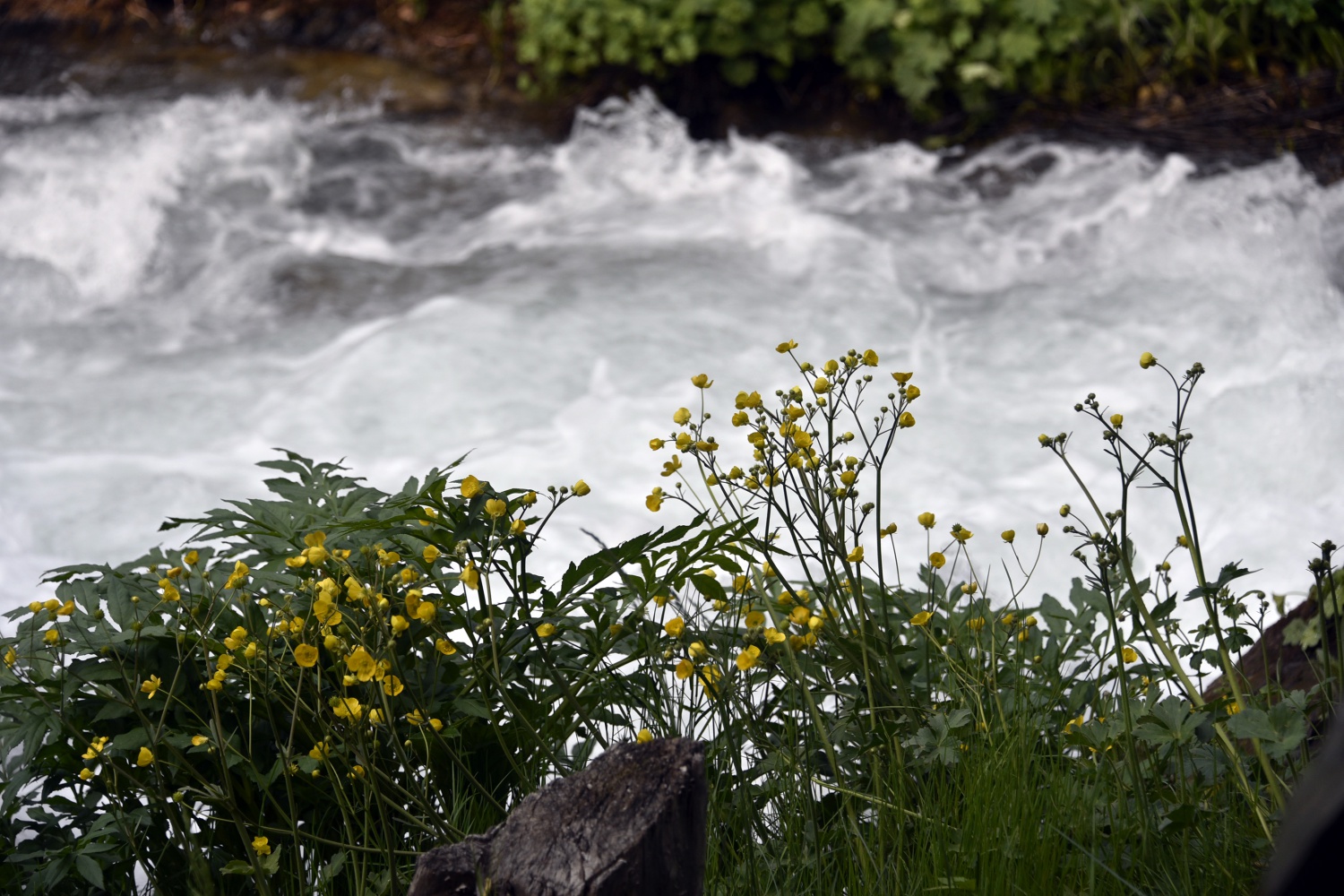 Gümüşhane’de 40 gözeli şelale büyülüyor 10