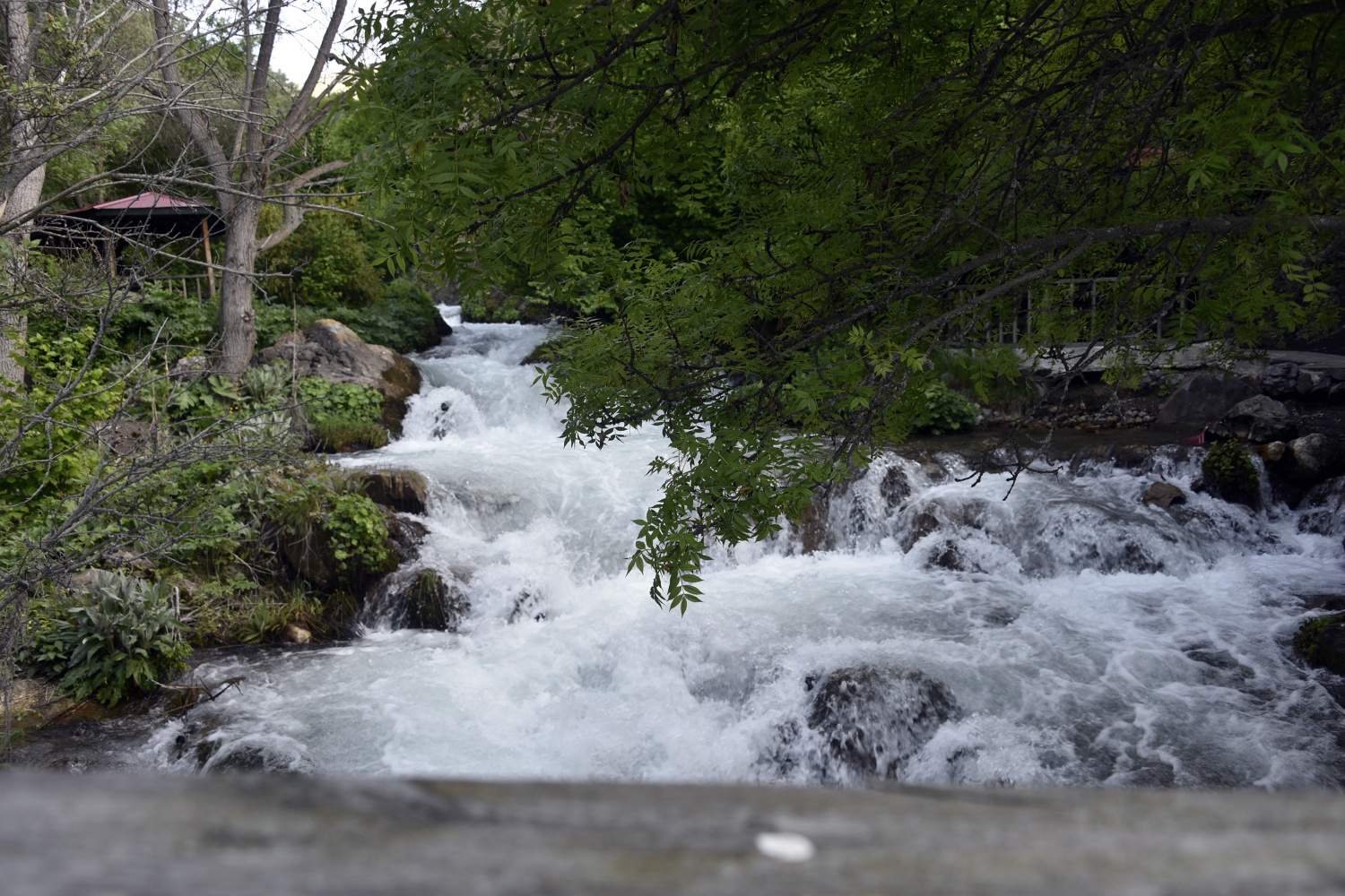 Gümüşhane’de 40 gözeli şelale büyülüyor 26