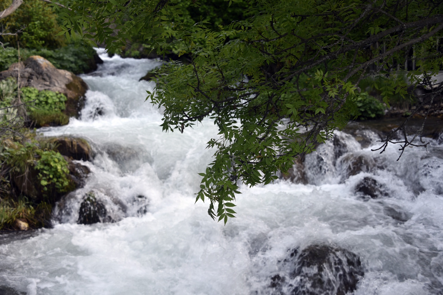 Gümüşhane’de 40 gözeli şelale büyülüyor 14