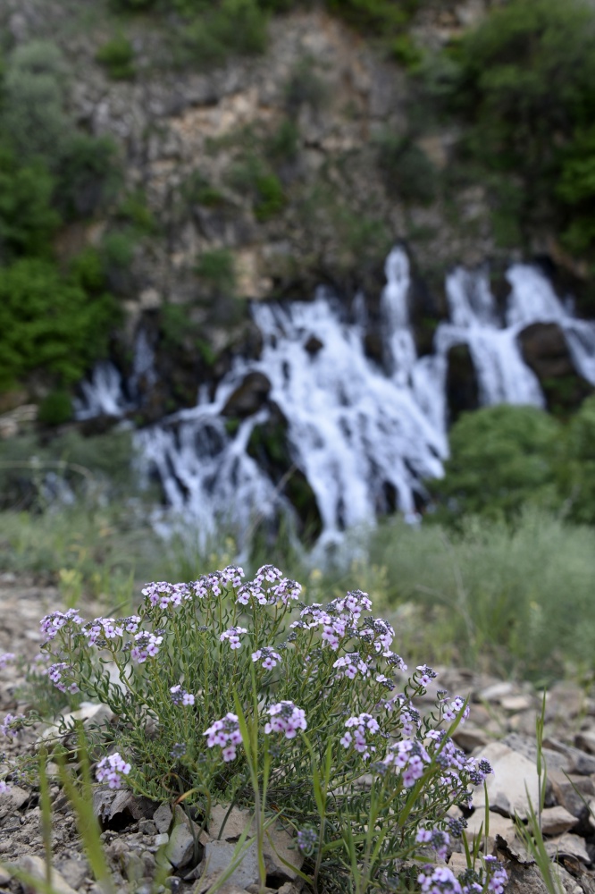 Gümüşhane’de 40 gözeli şelale büyülüyor 7
