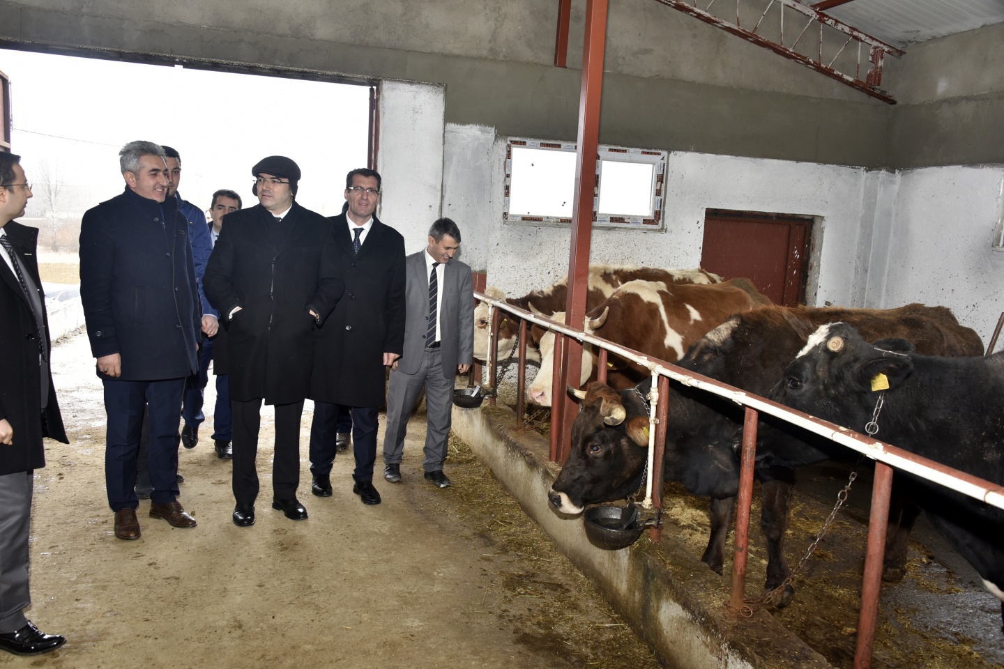 Vali Memiş Şiran’da incelemelerde bulundu 1