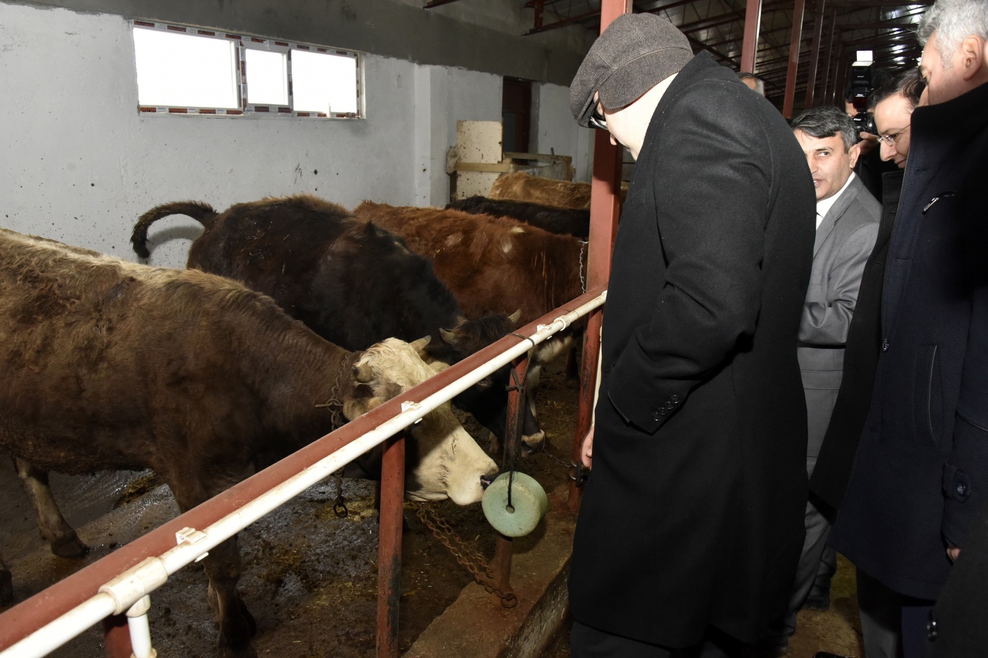 Vali Memiş Şiran’da incelemelerde bulundu 3