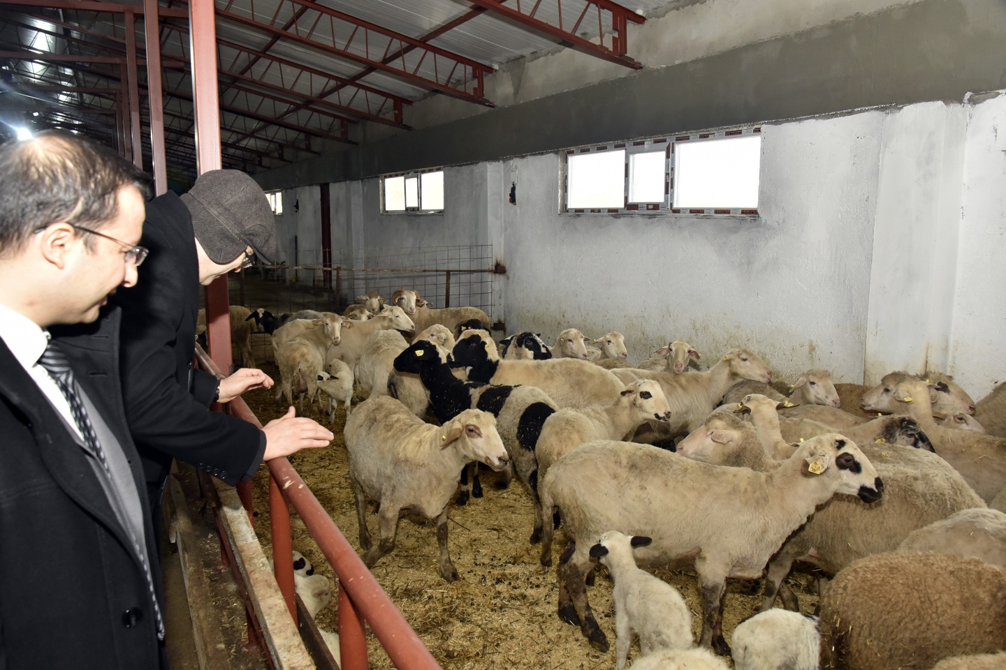 Vali Memiş Şiran’da incelemelerde bulundu 10