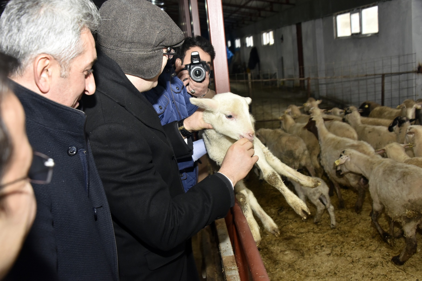 Vali Memiş Şiran’da incelemelerde bulundu 11